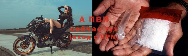 не бодяженный Коряжма